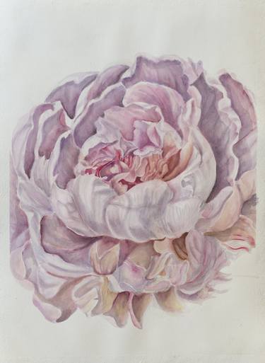 Light pink peony, watercolor, large flower thumb
