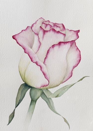 Print of Fine Art Floral Drawings by Maryana Chistol