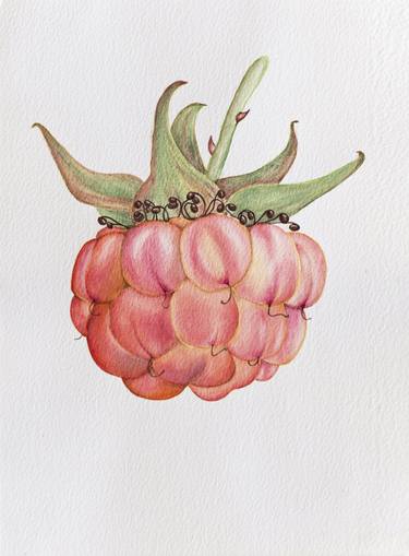 Yellow raspberry, berry, watercolor thumb