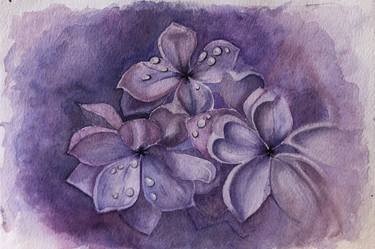 Original Floral Drawings by Maryana Chistol