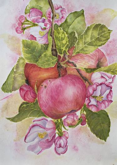 Apple tree branch watercolor illustration drawing pink thumb