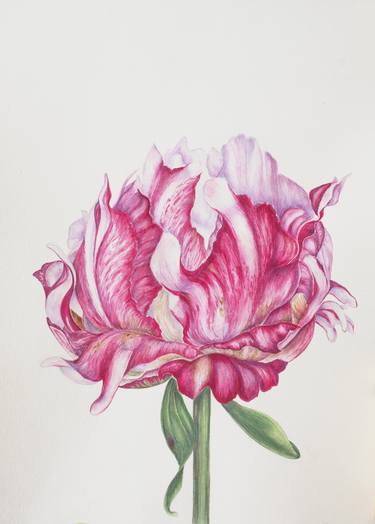 Original Contemporary Floral Drawings by Maryana Chistol