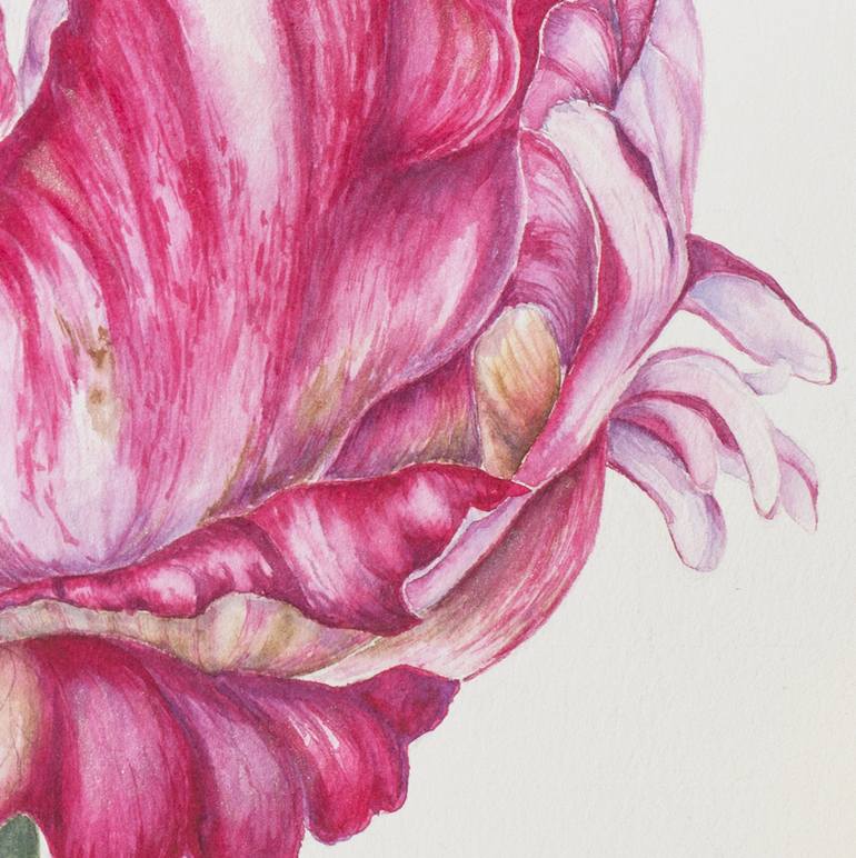 Original Floral Drawing by Maryana Chistol