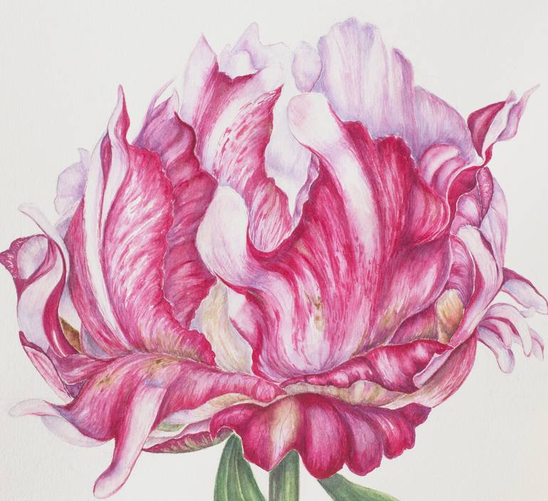 Original Contemporary Floral Drawing by Maryana Chistol