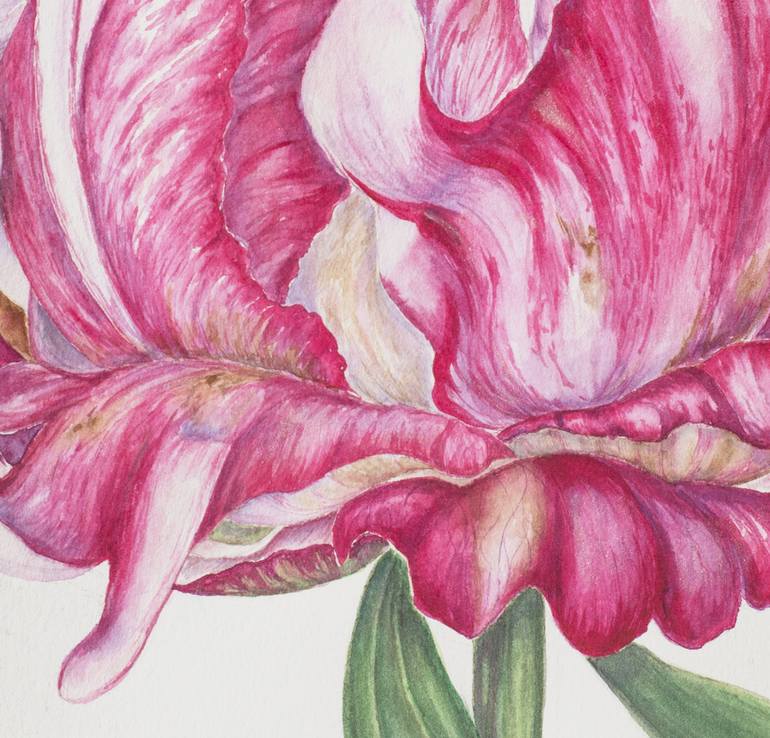 Original Contemporary Floral Drawing by Maryana Chistol
