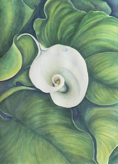 Calla, Original large watercolor floral painting, Realistic thumb