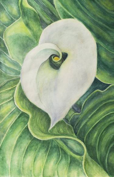 Calla Original large watercolor floral painting, Realistic thumb