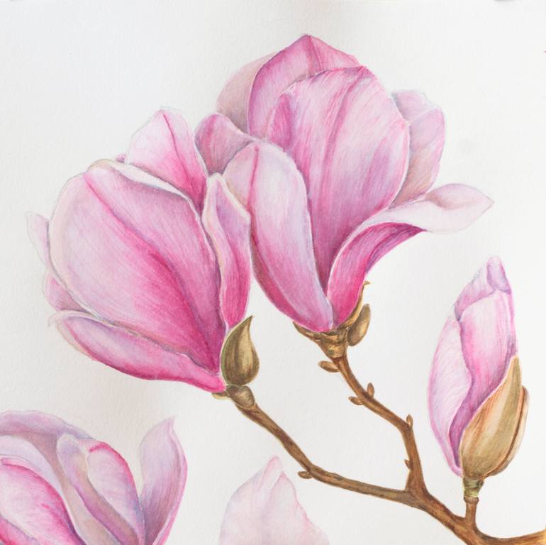 Original Contemporary Floral Drawing by Maryana Chistol