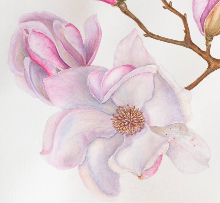 Original Contemporary Floral Drawing by Maryana Chistol