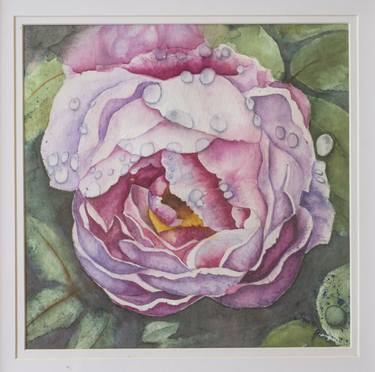 Rose tender flower watercolor illustration thumb