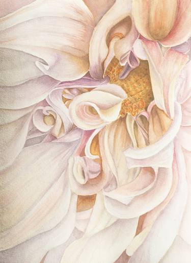 Light Dahlia flower watercolor illustration thumb