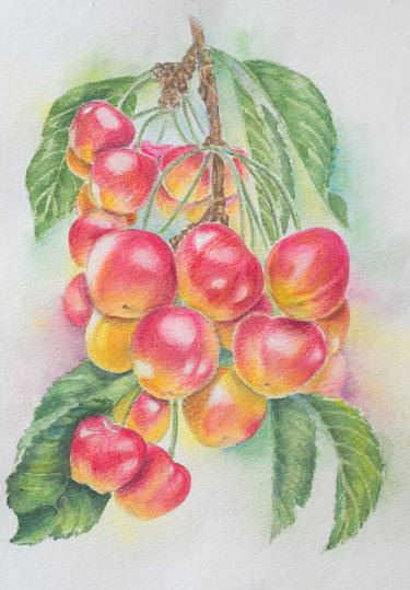 Cherry branch botany yellow red watercolor drawing illustration thumb