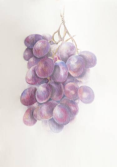 Grapes botanic berries blue watercolor drawing illustration thumb