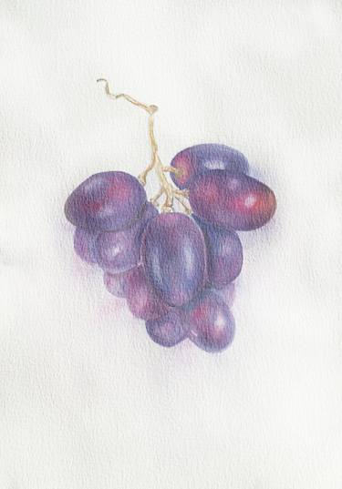 Grapes botanic berries violet watercolor drawing illustration thumb