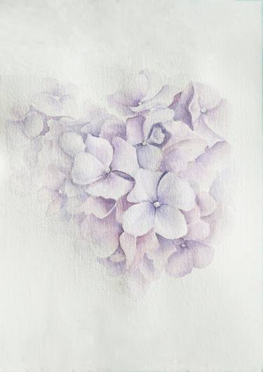 Delicate hydrangea lilac airy watercolor drawing illustration thumb