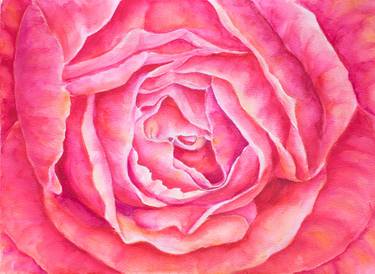 Bright rose macro watercolor painting artwork original art thumb