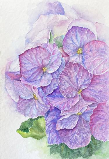 Hydrangea lilac aerial watercolor drawing illustration thumb