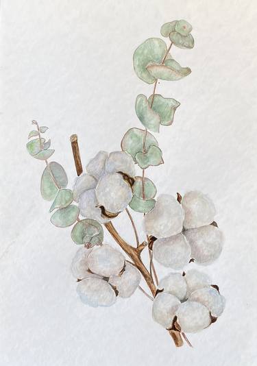 Original Cotton bloom flower watercolor and eucalyptus Realistic thumb