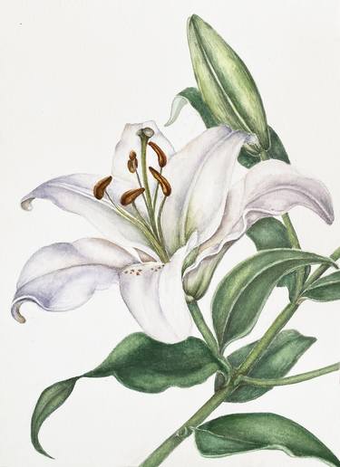 White Lilies Original botanical watercolor painting hand-painted thumb
