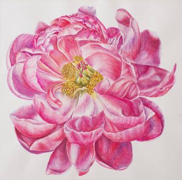 Print of Floral Paintings by Maryana Chistol