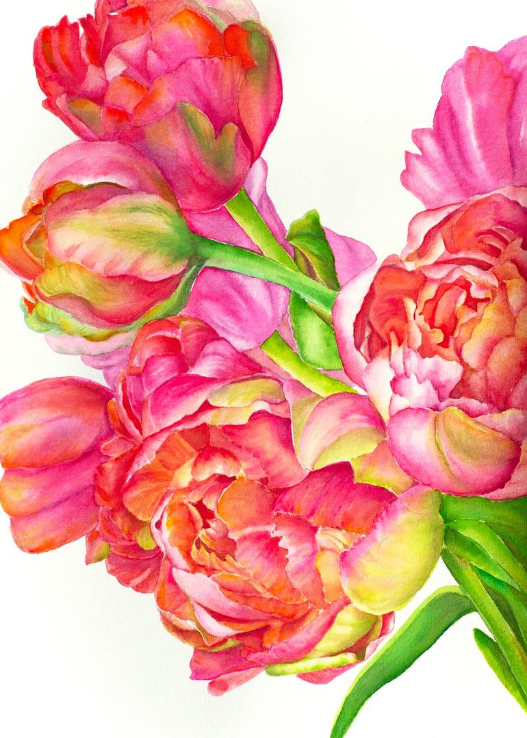 Stunning Pink Tulip Flower Drawing, Perfect For Floral And Spring Projects,  Stunning Pink Tulip Flower Drawing Ndash PNG Transparent Image and Clipart  for Free Download, image size:770x1078