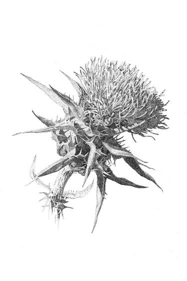 Thistle print thumb