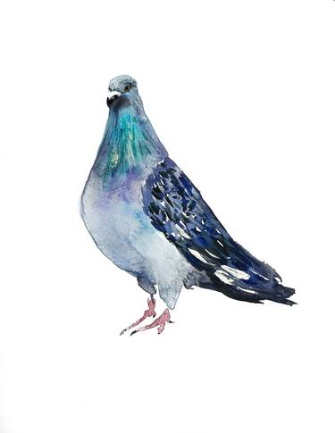 The Azure Pigeon thumb