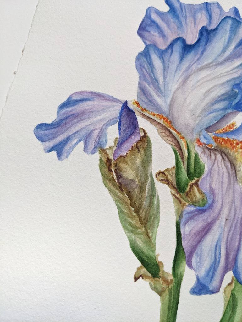 Original Expressionism Botanic Painting by Maria Popova