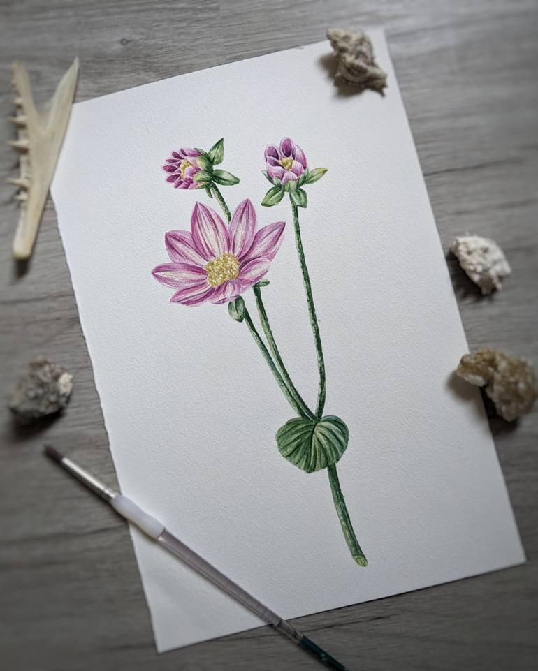 Original Illustration Botanic Painting by Maria Popova
