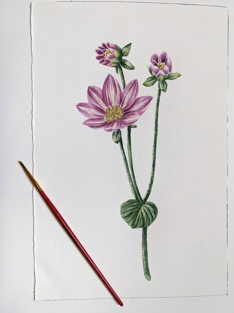 Original Illustration Botanic Painting by Maria Popova