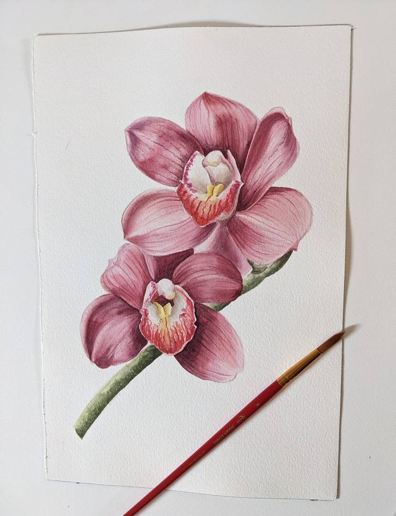 Botanical Watercolor Orchid Painting by Maria Popova | Saatchi Art