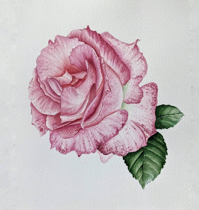 Tea and roses, watercolor cheapest painting