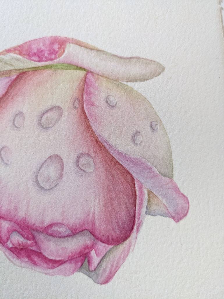 Original Other Botanic Painting by Maria Popova