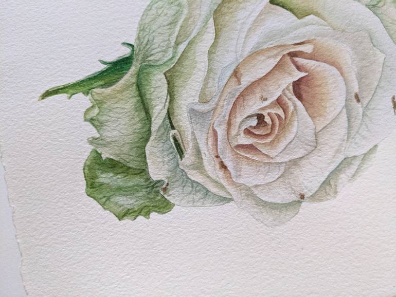 Original Other Botanic Painting by Maria Popova