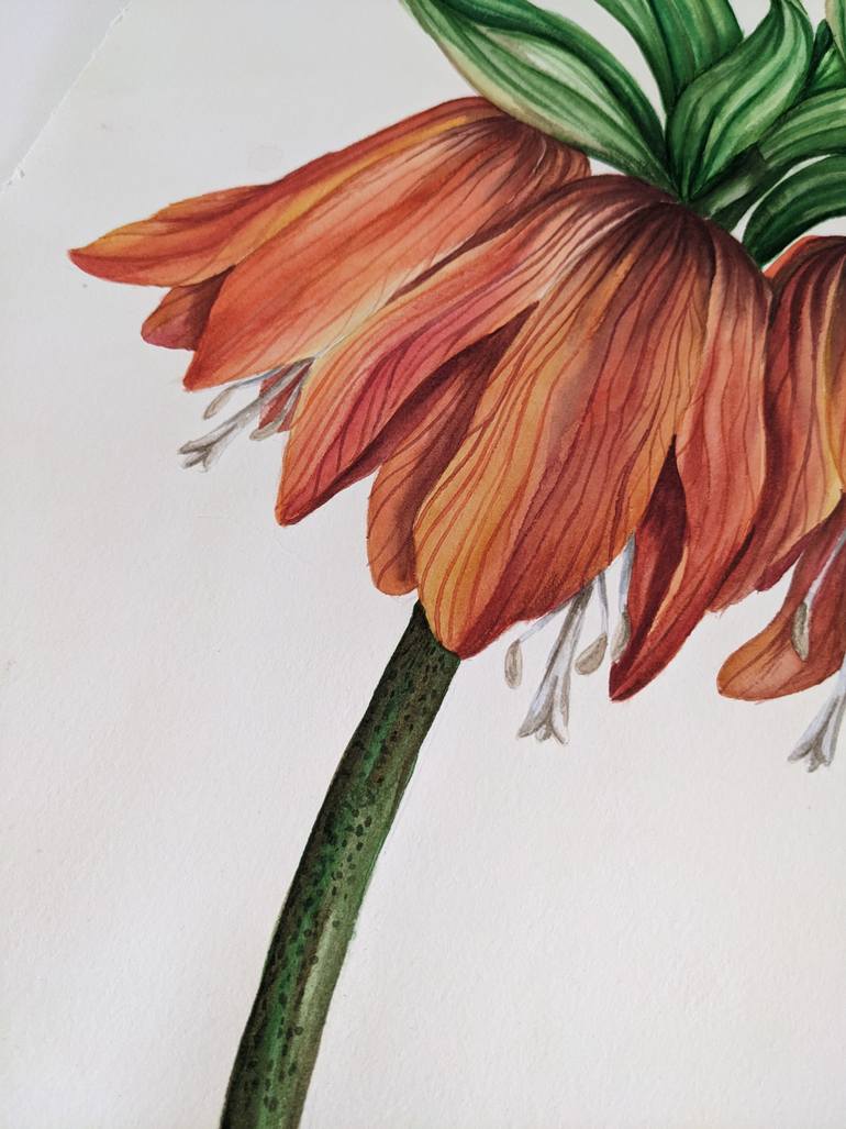 Original Other Botanic Painting by Maria Popova