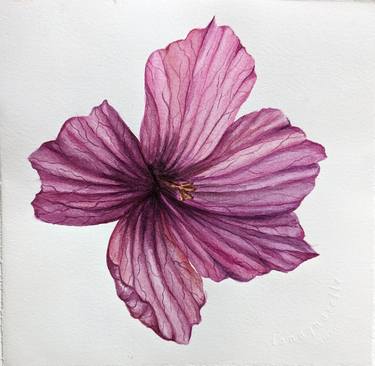 Original Botanic Paintings by Maria Popova