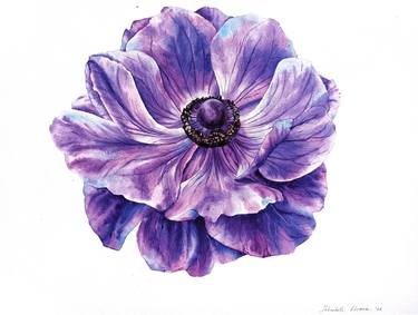 Original Botanic Paintings by Oksana Shkrebets