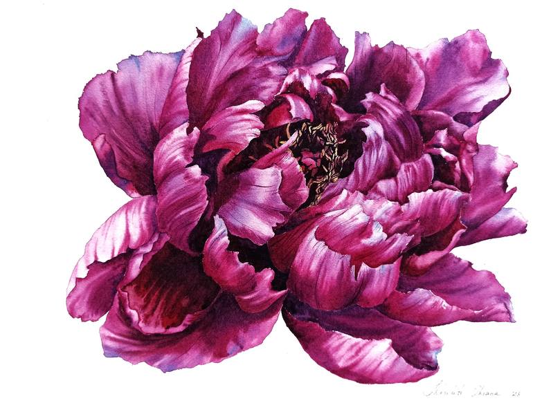 Purple online peony.—Original Painting