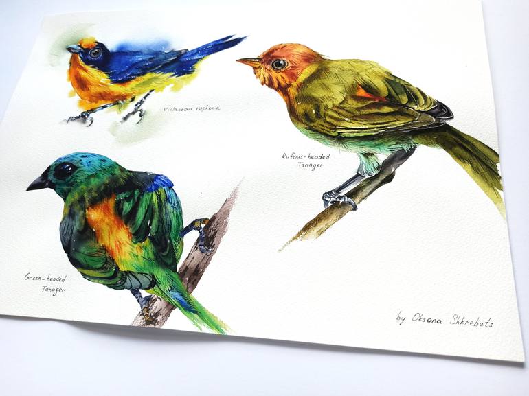 Original Other Nature Painting by Oksana Shkrebets