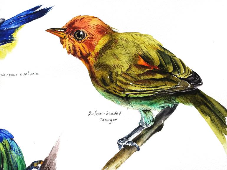 Original Other Nature Painting by Oksana Shkrebets