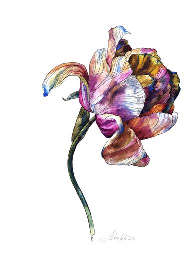 Original Fine Art Floral Mixed Media by Oksana Shkrebets