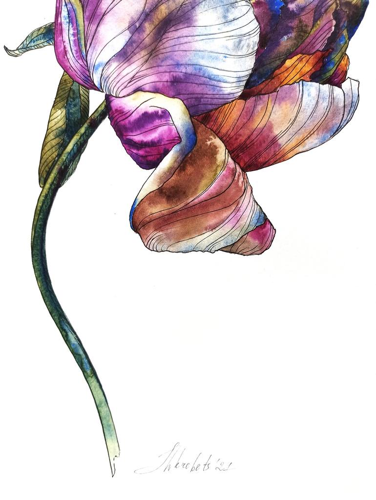 Original Fine Art Floral Mixed Media by Oksana Shkrebets