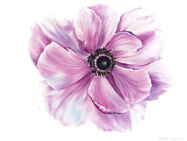 Pink anemone, Original watercolor flower painting thumb