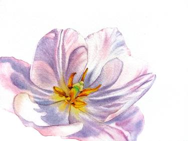 Original Fine Art Floral Paintings by Oksana Shkrebets