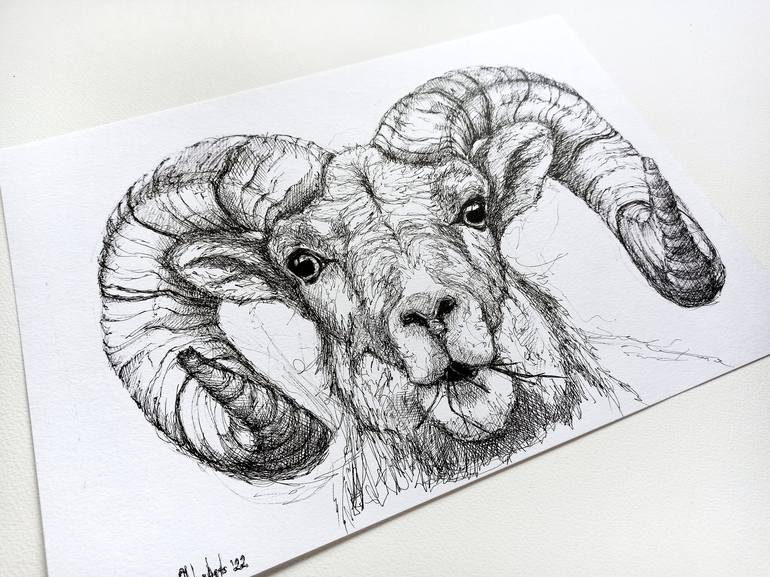 Original Animal Drawing by Oksana Shkrebets