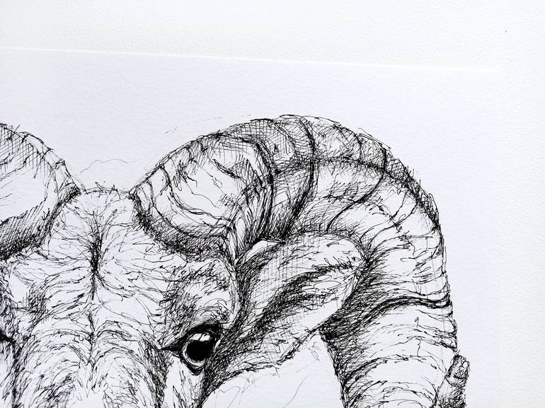Original Animal Drawing by Oksana Shkrebets