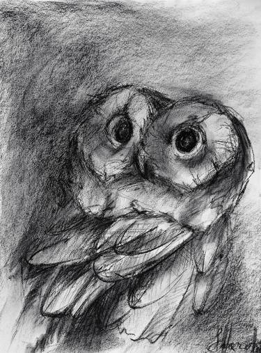 Charcoal tawny owl painting thumb