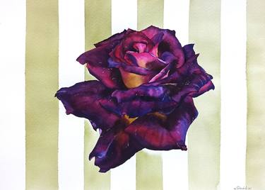 Watercolor purple rose, Original watercolor floral painting thumb