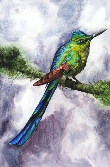 Long-tailed Sylph, Original watercolor bird painting thumb