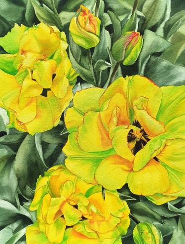 Sunny tulips, Original watercolor flower painting thumb